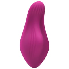 VIBRADOR ESTIMULADOR CALCINHA APP USB IMPORT