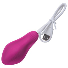 VIBRADOR ESTIMULADOR CALCINHA APP USB IMPORT