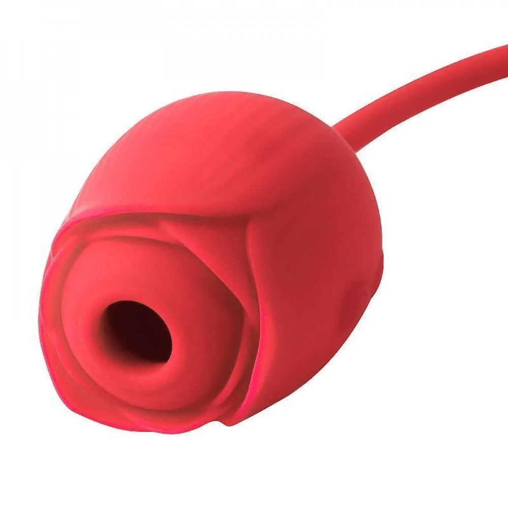 VIBRADOR PONTO G E CLITÓRIS PULSAÇÃO FLOWERY PRO IMPORT